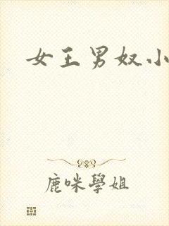 女王男奴小说