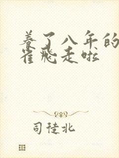 养了八年的金丝雀飞走啦封面