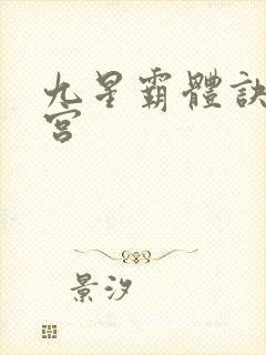 九星霸体诀无量宫封面