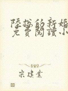 陆总的新婚哑妻免费阅读小说无弹窗