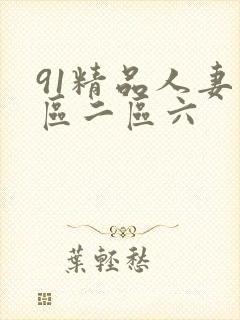 91精品人妻一区二区六