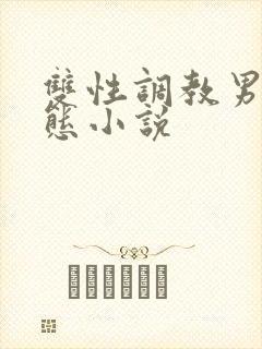双性调教男奴变态小说封面