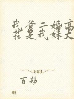 我爸二婚高冷校花是我妹大结局封面