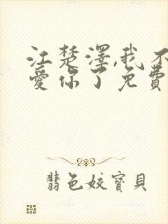 江楚泽,我不会爱你了免费阅读