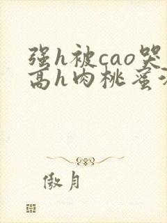 强h被cao哭高h肉桃蜜汁封面