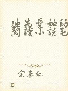 他先爱她的全文阅读小说毛吉