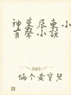 神墓辰东小说听有声小说