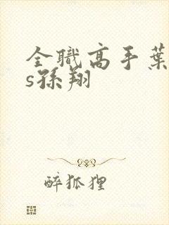 全职高手叶修vs孙翔封面