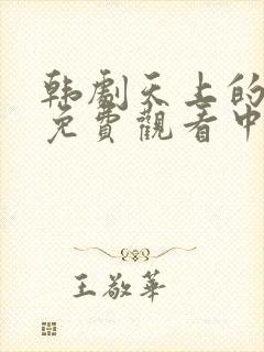 韩剧天上的约定免费观看中文版