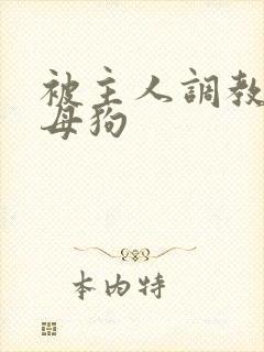 被主人调教的骚母狗