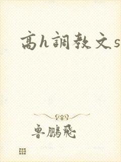 高h调教文sm封面
