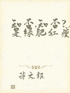 知否,知否?应是绿肥红瘦原著小说