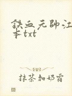 铁血元帅江天全本txt