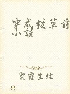 穿成校草前男友小说