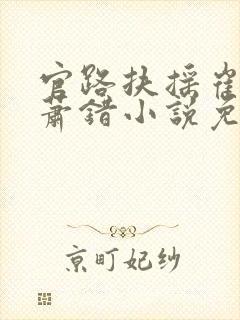 官路扶摇崔向东萧错小说免费阅读54