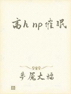 高h np催眠