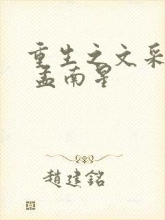 重生之文采风流 孟南星