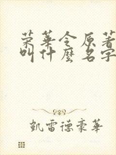 荣华令原著小说叫什么名字封面