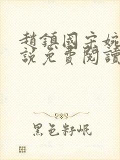 赵镇国宋婉清小说免费阅读封面
