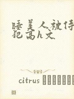 睡美人被侍卫侵犯高h文