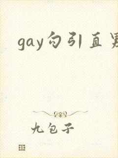 gay勾引直男