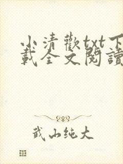 小清欢txt下载全文阅读