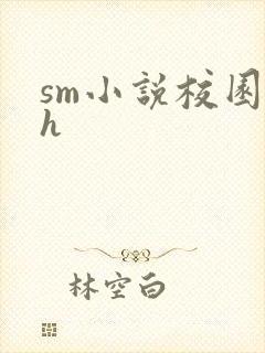 sm小说校园高h