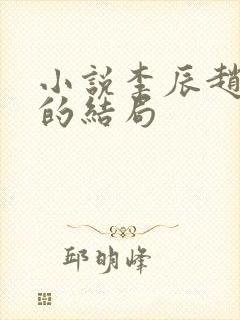 小说李辰赵清澜的结局
