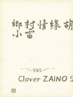乡村情缘胡秀英小雷