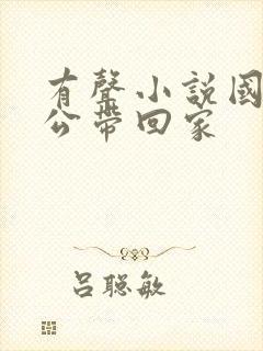 有声小说国民老公带回家封面
