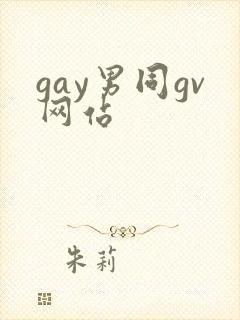 gay男同gv网站