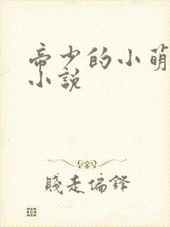 帝少的小萌妻 小说