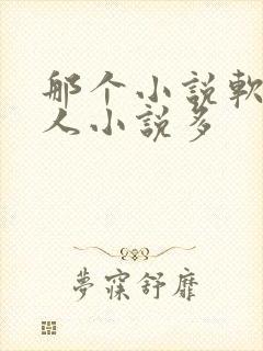 那个小说软件同人小说多