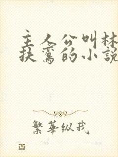 主人公叫林辰柳扶鸾的小说封面
