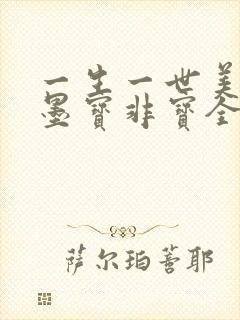 一生一世美人骨墨宝非宝全本小说免费阅读封面