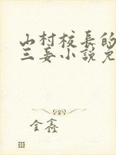 山村校长的一妻三妾小说免费阅读