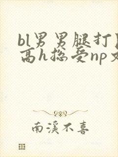 bl男男腿打开高h总受np文封面