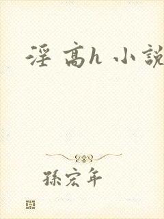 淫 高h 小说封面
