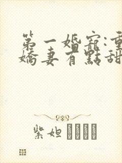 第一婚宠:重生娇妻有点甜小说下载
