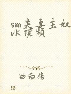 sm夫妻主奴一vk视频