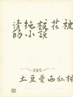 清纯校花被调教的小说