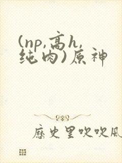 (np,高h,纯肉)原神