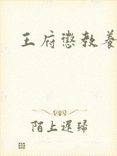 王府惩教养日常