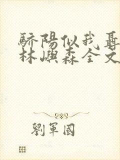骄阳似我聂曦光林屿森全文下载txt封面