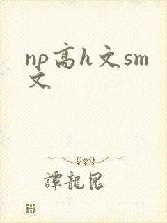 np高h文sm文