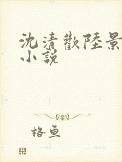 沈清欢陆景琛的小说