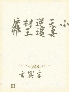 废材逆天小姐之邪王追妻