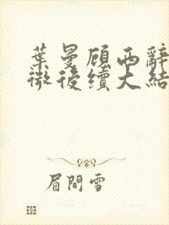 叶曼顾西辞许见微后续大结局