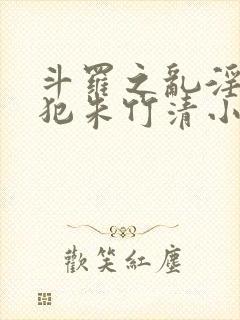 斗罗之乱淫h侵犯朱竹清小说封面