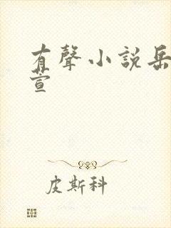 有声小说岳风柳萱